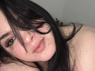 NumidiaHilton Webcam